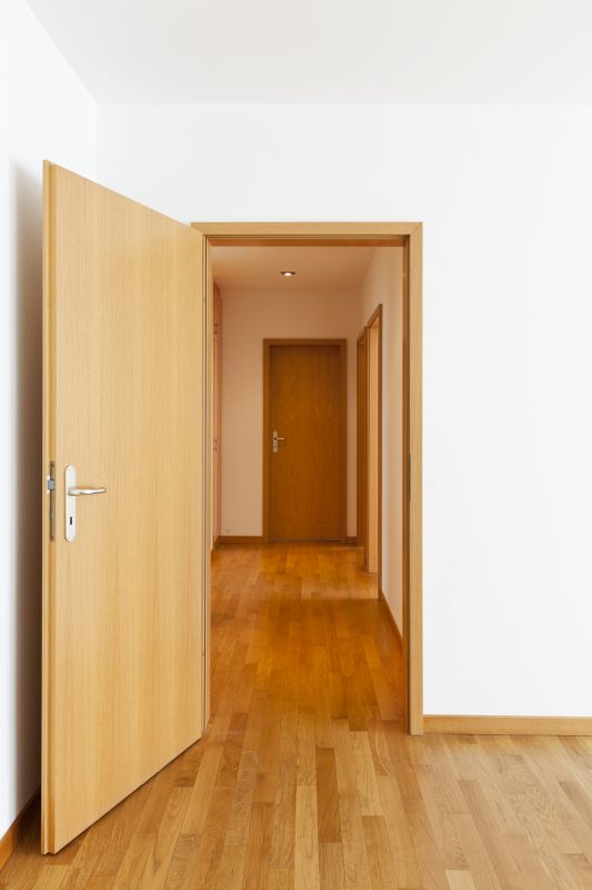Contemporary Interior Door